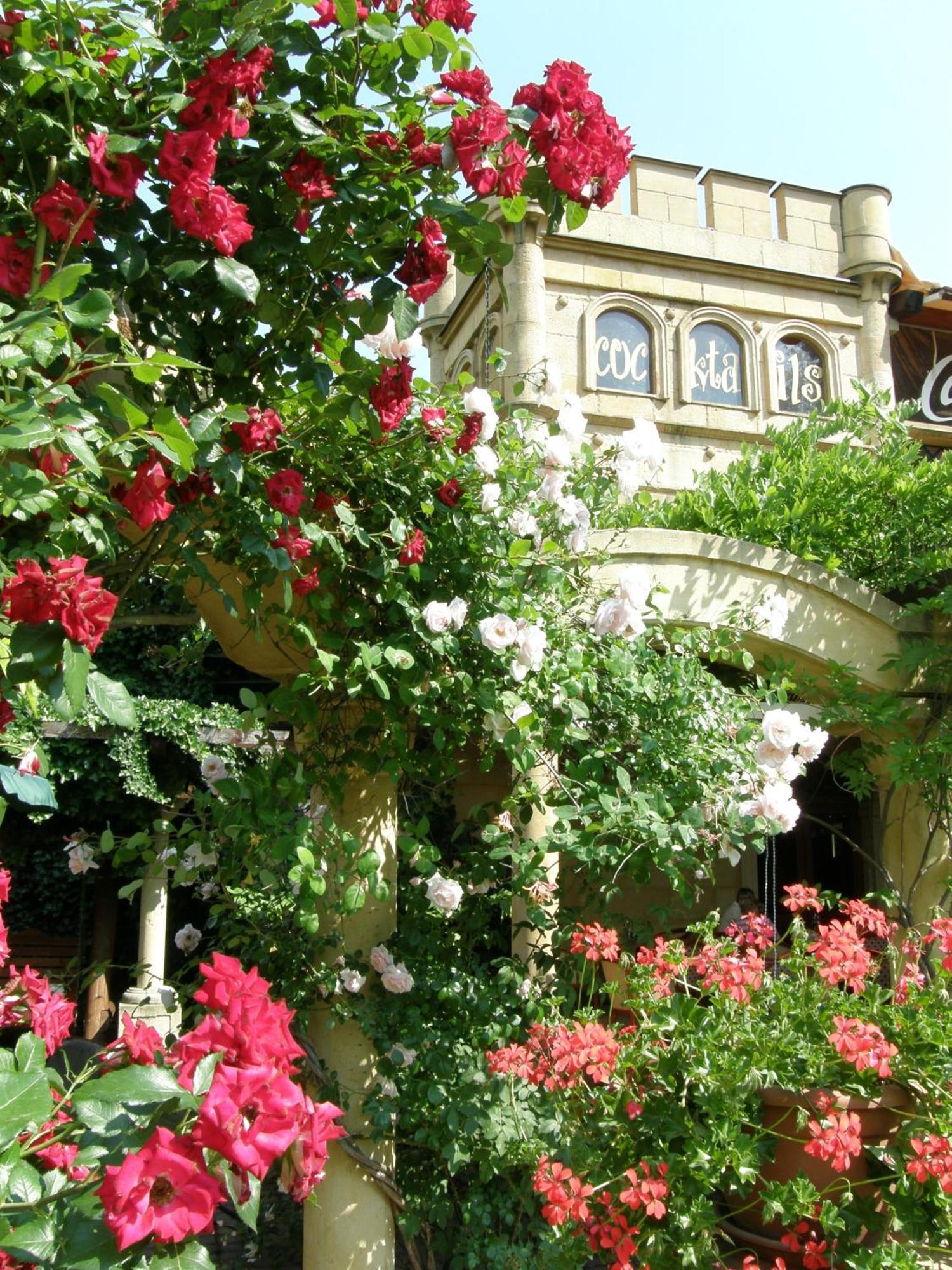 Bow Garden